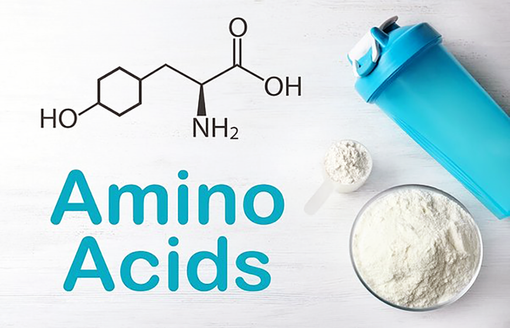 Amino Acid Utilization: Part 1