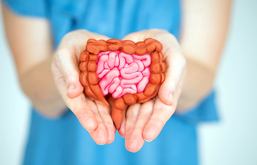 How Poor Digestion Affects Muscle Building, Fat Loss, Hormone Levels, and Inflammation