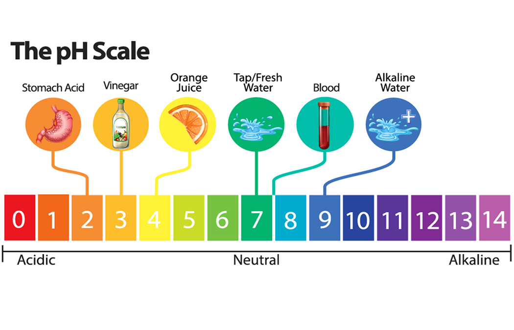 Acidity vs. Alkalinity in the Body