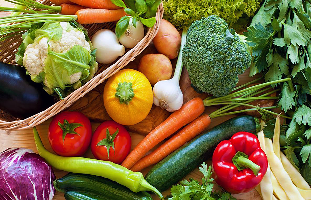 When to Plant Your Homestead Garden