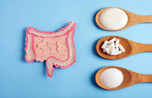 Probiotics and Prebiotics: What’s Really Important