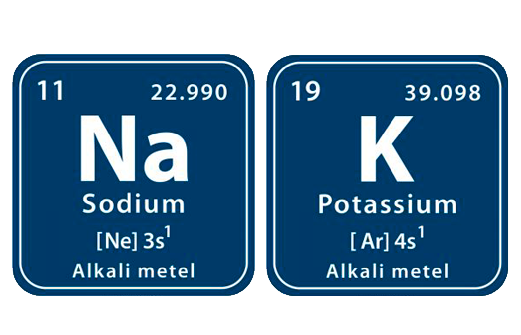The Sodium-Potassium Balancing Act